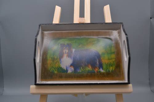 Custom resin-coated wood tray with dark accent border & tri-color Shetland Sheepdog portrait.