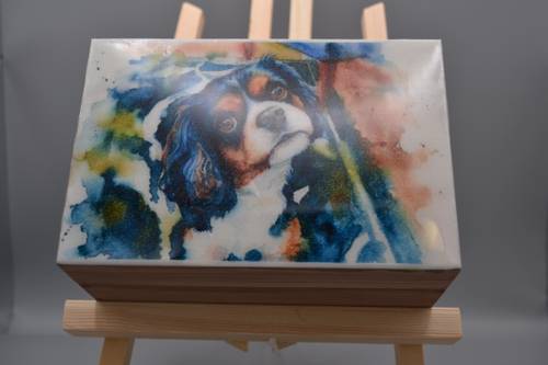 Handcrafted wooden jewelry memory box with colorful tri-color Cavalier watercolor art