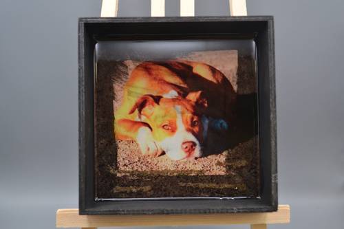Handmade Pitbull wood & resin tray. Glass-like glossy finish; perfect as a tabletop art piece or valet catchall.