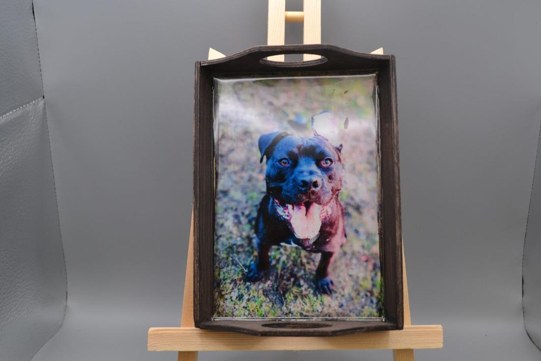 Handmade Black Pitbull Wood & Resin Art Tray- 6.5" x 4.5" Dog Portrait Trinket Box, Rustic Bully Valet Dish — photo 1