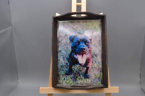 Handmade Black Pitbull Wood & Resin Art Tray- 6.5" x 4.5" Dog Portrait Trinket Box, Rustic Bully Valet Dish