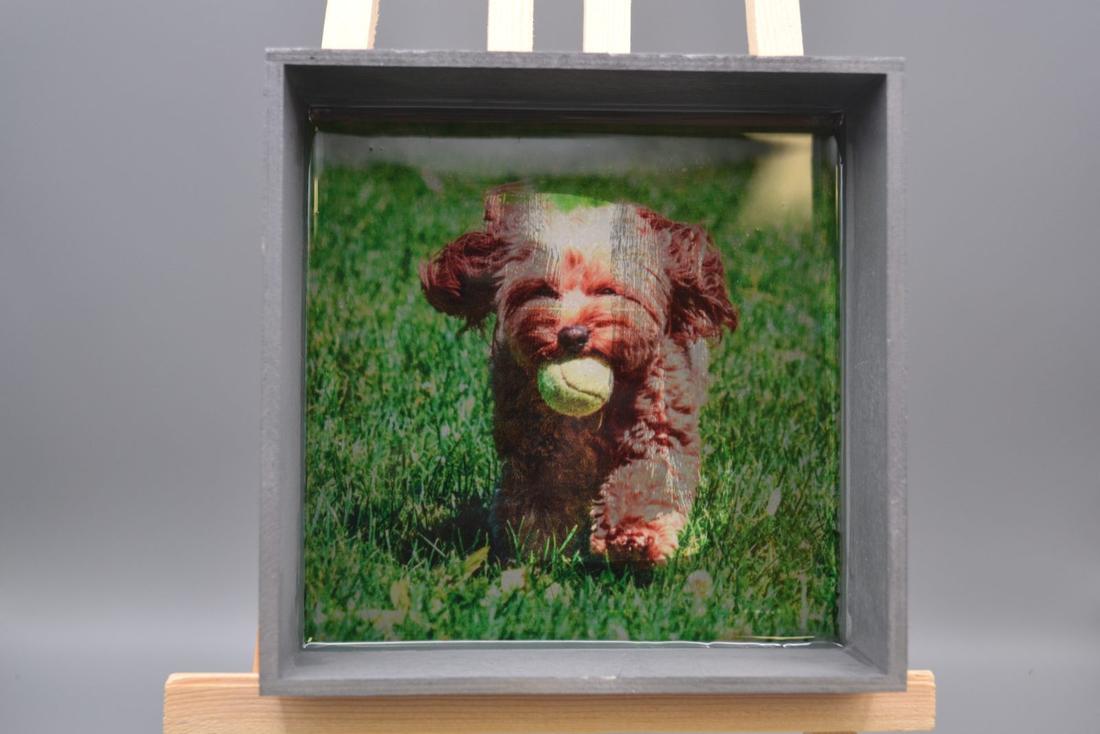 Handmade Doodle Wood & Resin Art Tray - Gray Square Dog Catchall Dish, Puppy with Tennis Ball Trinket Box — photo 1