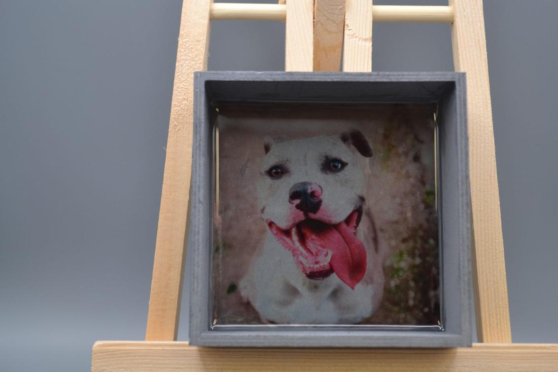Handmade White Pitbull Resin Wood Tray- 5.5" Square Gray Dog Catchall Dish, Happy Bully Dog Trinket Box Art Keepsake — photo 1