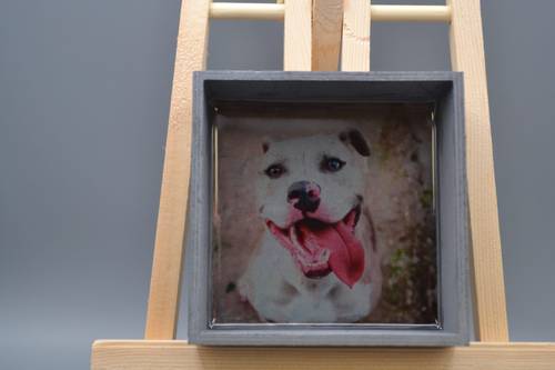 Handmade White Pitbull Resin Wood Tray- 5.5" Square Gray Dog Catchall Dish, Happy Bully Dog Trinket Box Art Keepsake