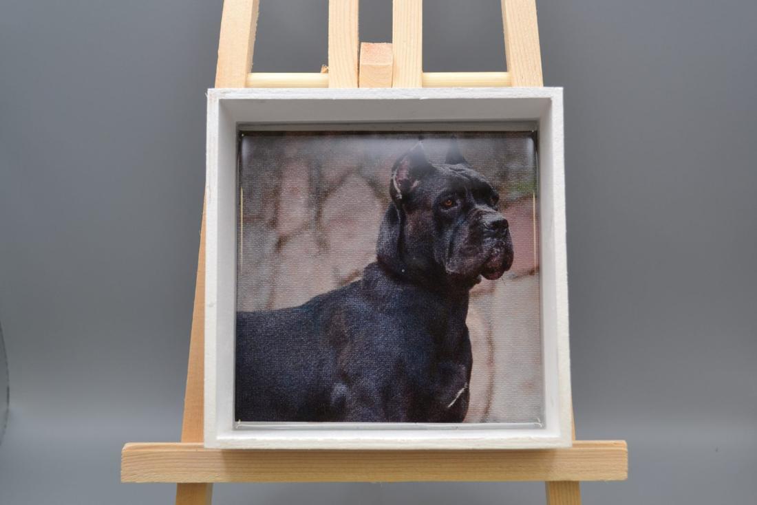 Handmade Cane Corso Resin Wood Tray - 5.5" Square White Dog Art Valet Dish, Italian Mastiff Trinket Box Keepsake — photo 1