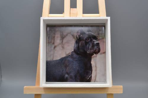 Handmade Cane Corso Resin Wood Tray - 5.5" Square White Dog Art Valet Dish, Italian Mastiff Trinket Box Keepsake