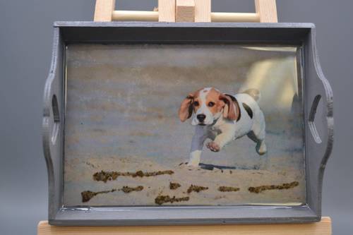 Beagle Puppy Beach Run Handcrafted Resin Wood Mini Tray Art, Grey Wood Keepsake Dog Portrait Catchall, Hound Lover Desk Decor