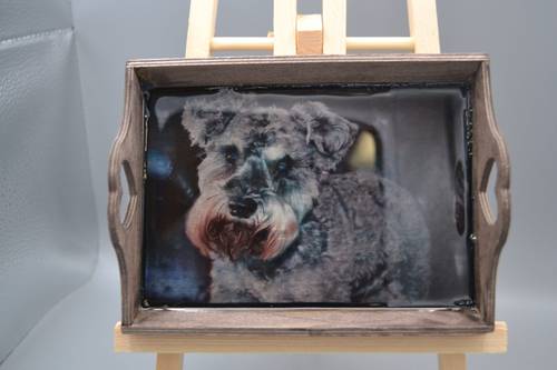 Miniature Schnauzer Resin Wood Mini Tray Art, Handcrafted Walnut Dog Portrait Catchall Dish, Desk Decor & Wall Plaque Keepsake Gift