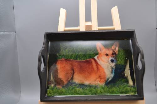 Pembroke Welsh Corgi Resin Wood Mini Tray Art, Handcrafted Black Dog Portrait Catchall Dish, Herding Dog Desk Decor & Wall Plaque Gift