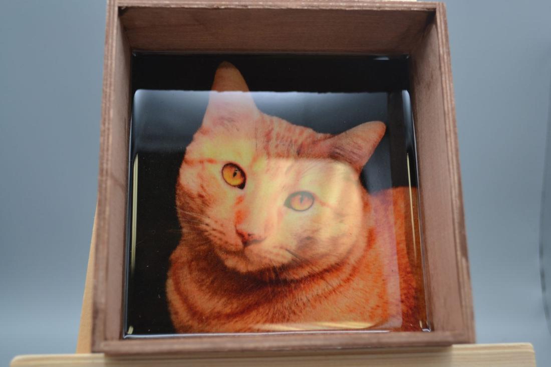 Handmade Wooden Cat Trinket Tray Resin Orange Tabby Catchall Dish Gift — photo 1