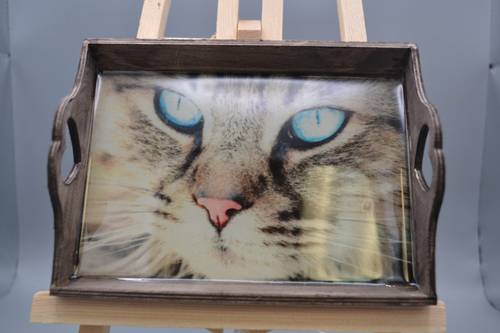 Handmade Wooden Cat Trinket Tray Resin Tabby Blue Eyes Catchall Dish Gift