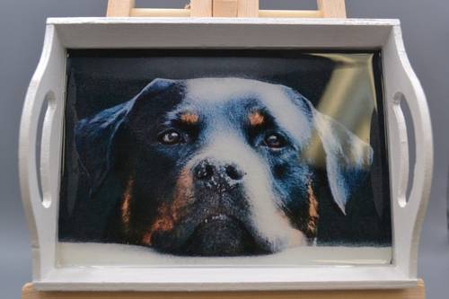 Custom Handcrafted Wooden Pet Portrait Trinket Tray Resin Catchall Dish