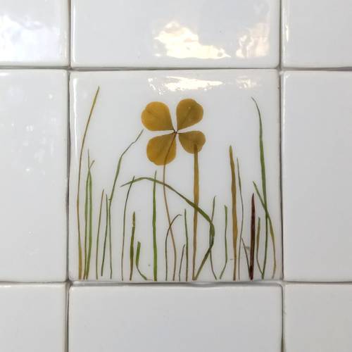 Herbarium Ceramic tiles 10 x 10 - Clover - Four leaf clover - Trifolium